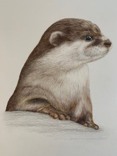 Otter