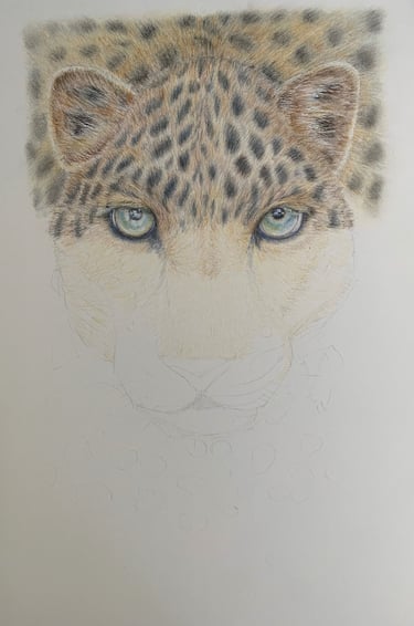 Leopard