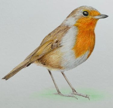 Robin