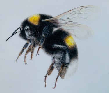 Bee