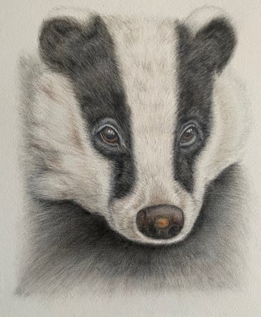Badger