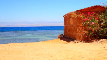 Sea, budget room with flowers at Bedouin star Egypt