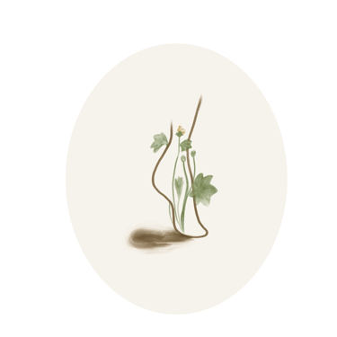 Janina Jaeckel - Atelierkunst, Fine Art, Illustration & Ordnung logo