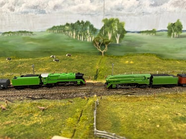 New 38 class locos meet during the 2024 N Scale convention
