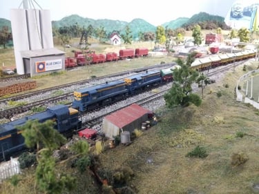 A wheat train heads through Widgeree