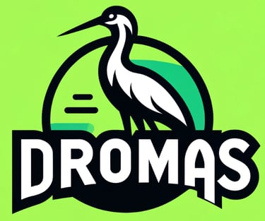Dromas logo
