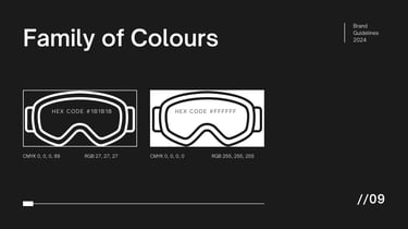 Alpine Ventures colour Display