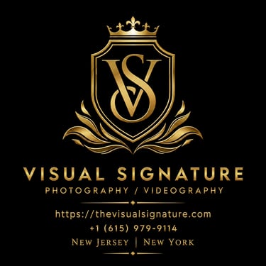Visual Signature logo