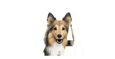 guarderia canina ecan logo