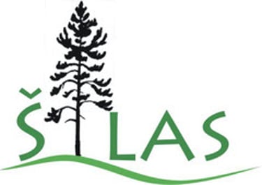 sodaisilas.lt logo