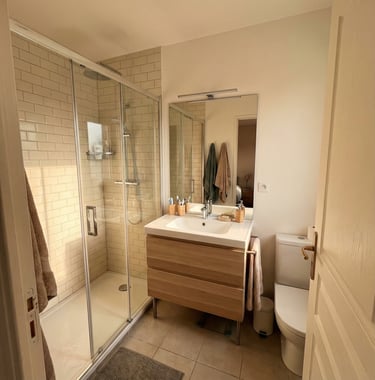 salle de bain rénovée avec douche et une vasque dans appartement 