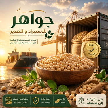 حمص حب روسي فلافل قياس 7 مم 25 كيلو جرام حمص جواهر افضل موردين وموزعين حمص حب في الاردن