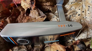 Brace forged golf putter on bed of Autumn leaves