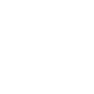 Travel Convoy logo