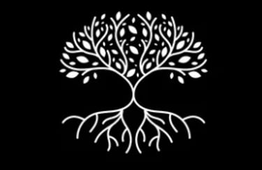 The Friction Fixer™ logo