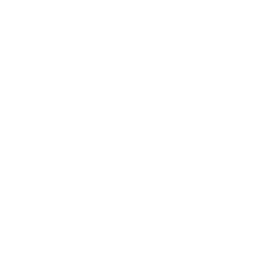 STEMVISIONS logo