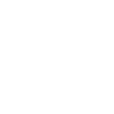 Pirmas blynas logo