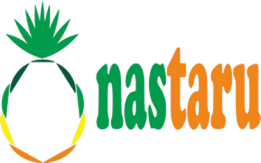 nastaru logo