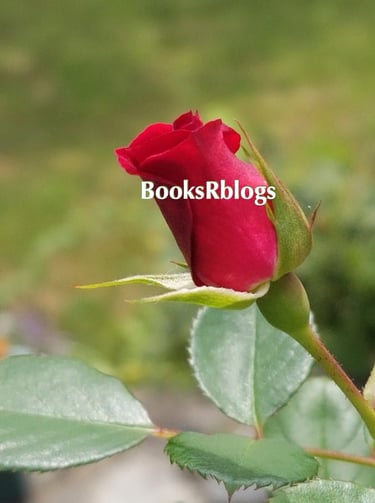 BooksRblogs logo