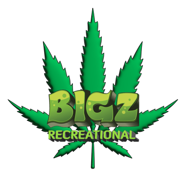 BIGZ Recreational  logo