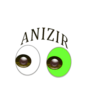 Anizir Morocco Tours logo