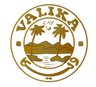 Valika Global logo