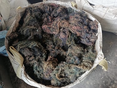 Dried Gracilaria seaweed 15% moisture and 3% impurity for agar-agar, Agriculture and Cosmetics