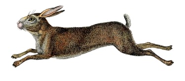 Antique leaping rabbit
