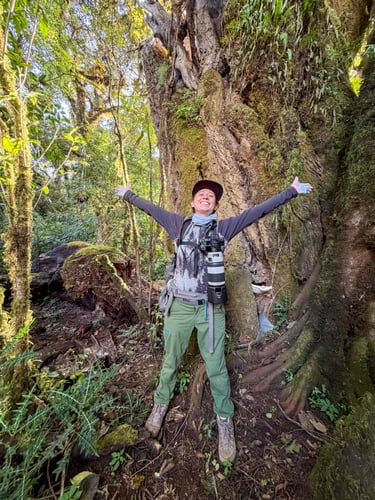 Elizabeth Hingle standing beneath a rainforest tree with arms outstretched.