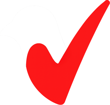 VibePigeon logo