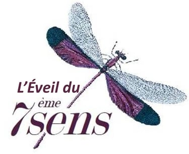 L'éveil du 7ème Sens logo