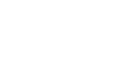 Dallas Digital Services logo