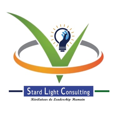 STARD LIGHT Consulting logo