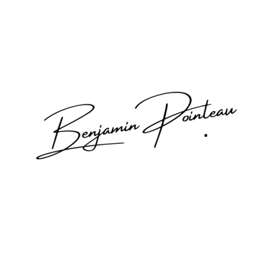 Benjamin POINTEAU logo
