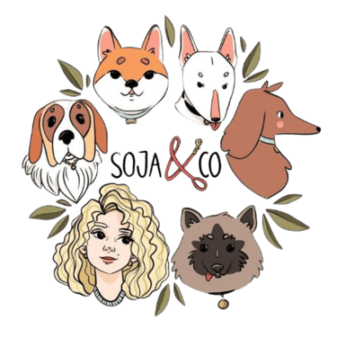 Soja & Co logo