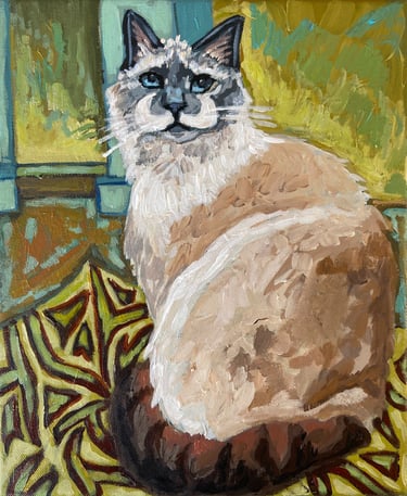 pet portrait of a cat