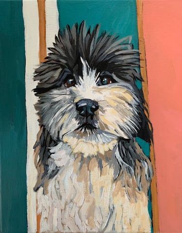 Pet portrait of a cute dog