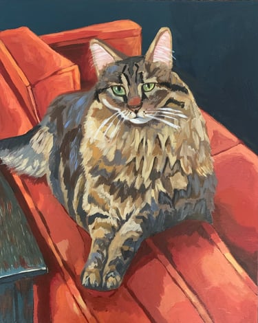 A portrait of beautiful Persian cat