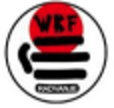 Karate Klub Radvanje logo