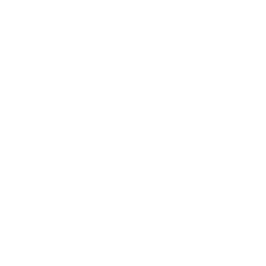 Instituto Estético Débora Marcheti logo