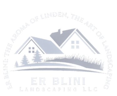 ER BLINI Landscaping LLC logo
