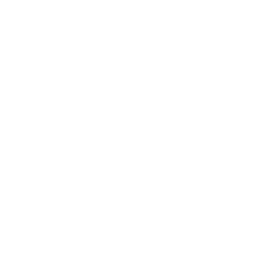 Bronze Podcast logo