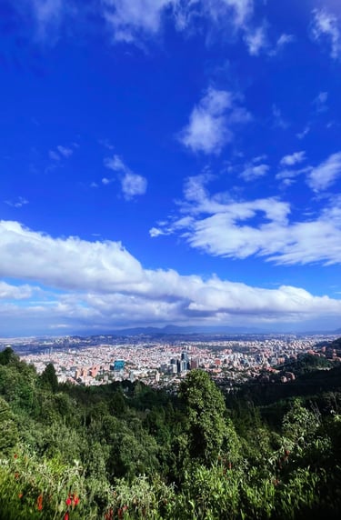 Alto de Patios Qi Team Bogotá