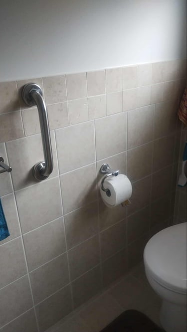 Grab rail for toilet