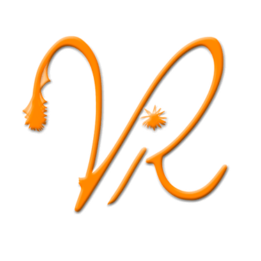 VIR ESTUDIO FOTOGRAFICO logo