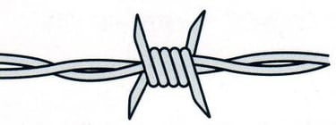 ronce barbelé type dur