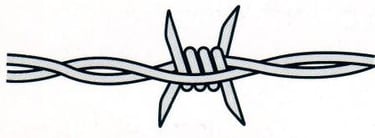 ronce barbelé type europe