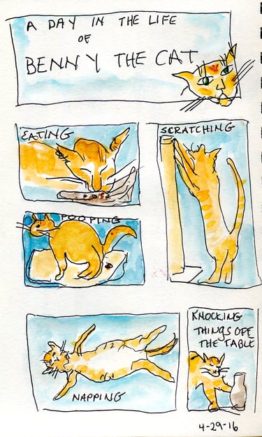 A Day in the Life of Benny the Cat