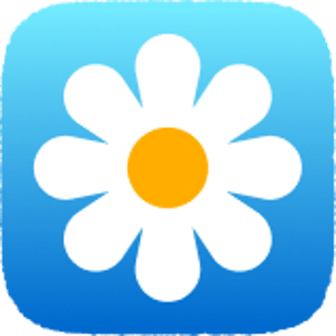Daisy's portfolio logo