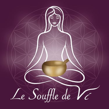 Le souffle de Vi logo